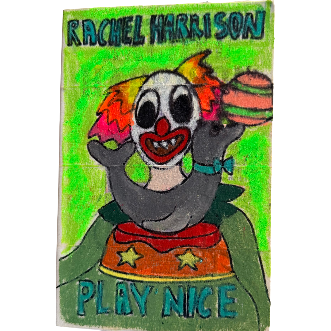 Play Nice - Rachel Harrison
